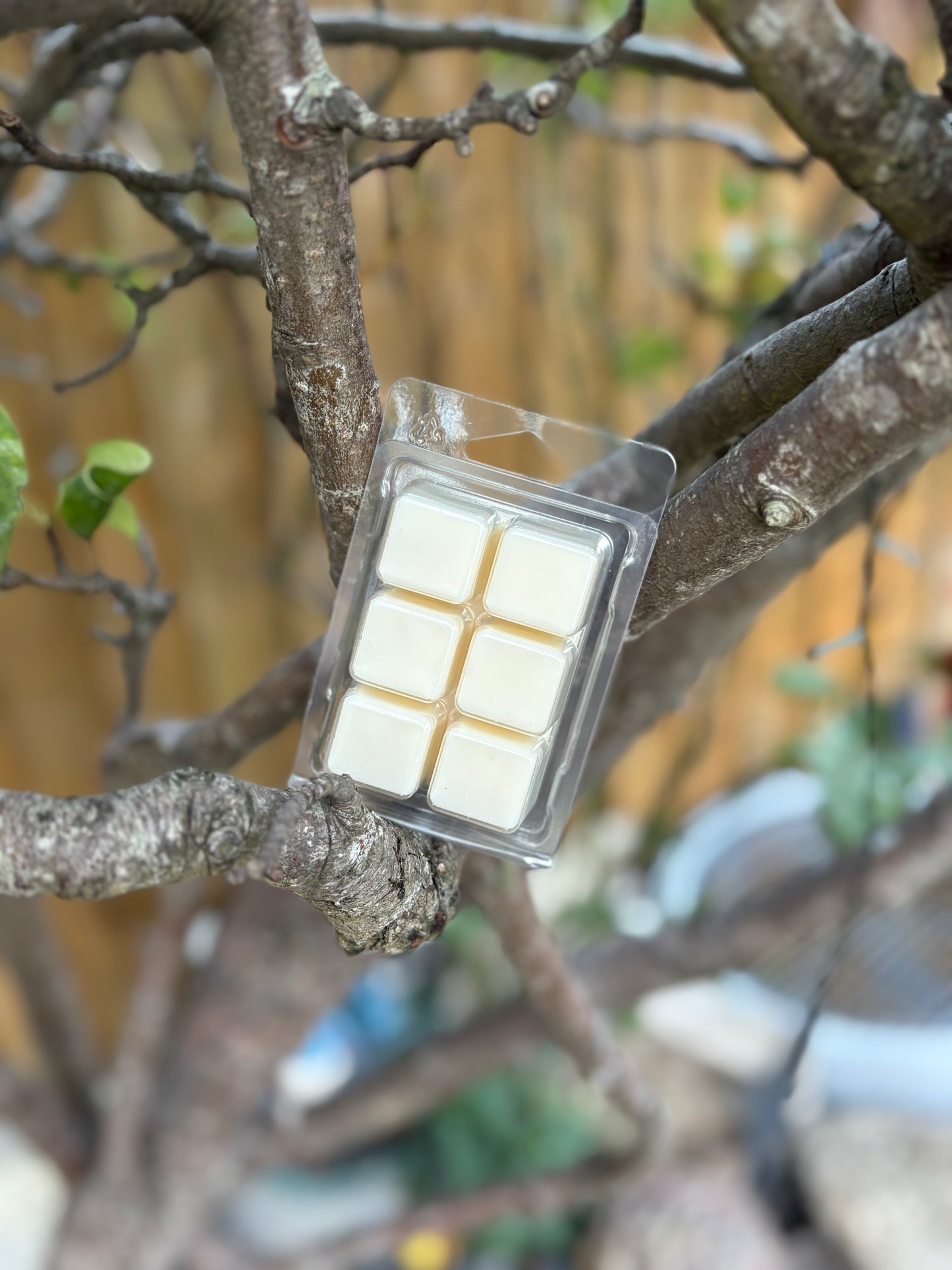 Baked Apple Wax Melts - 6 Square Pack