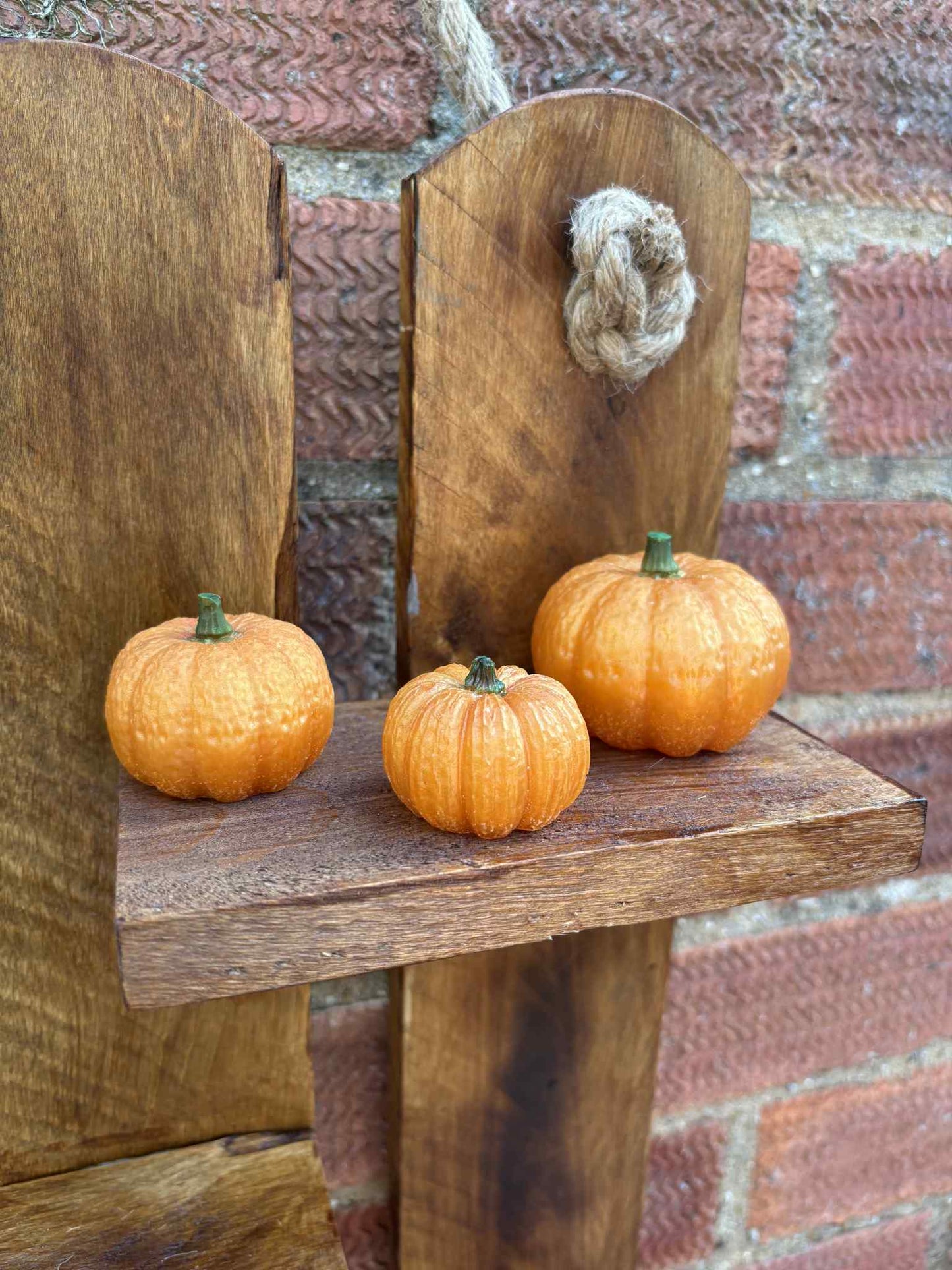 Resin Orange Pumpkin with Green Stalk