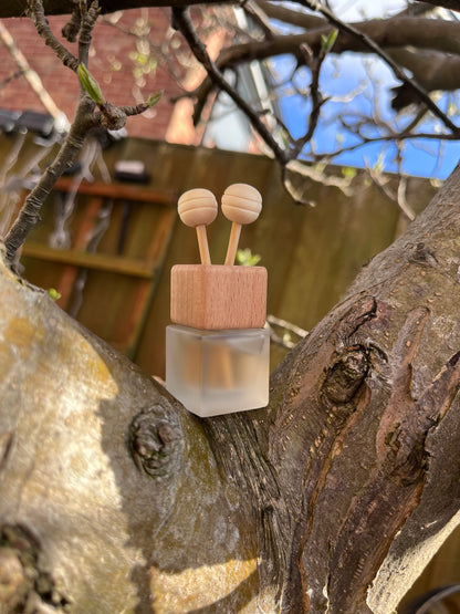 5ML Frosted Desk Diffuser with Honeycomb Sticks - In 9 Different Scents!