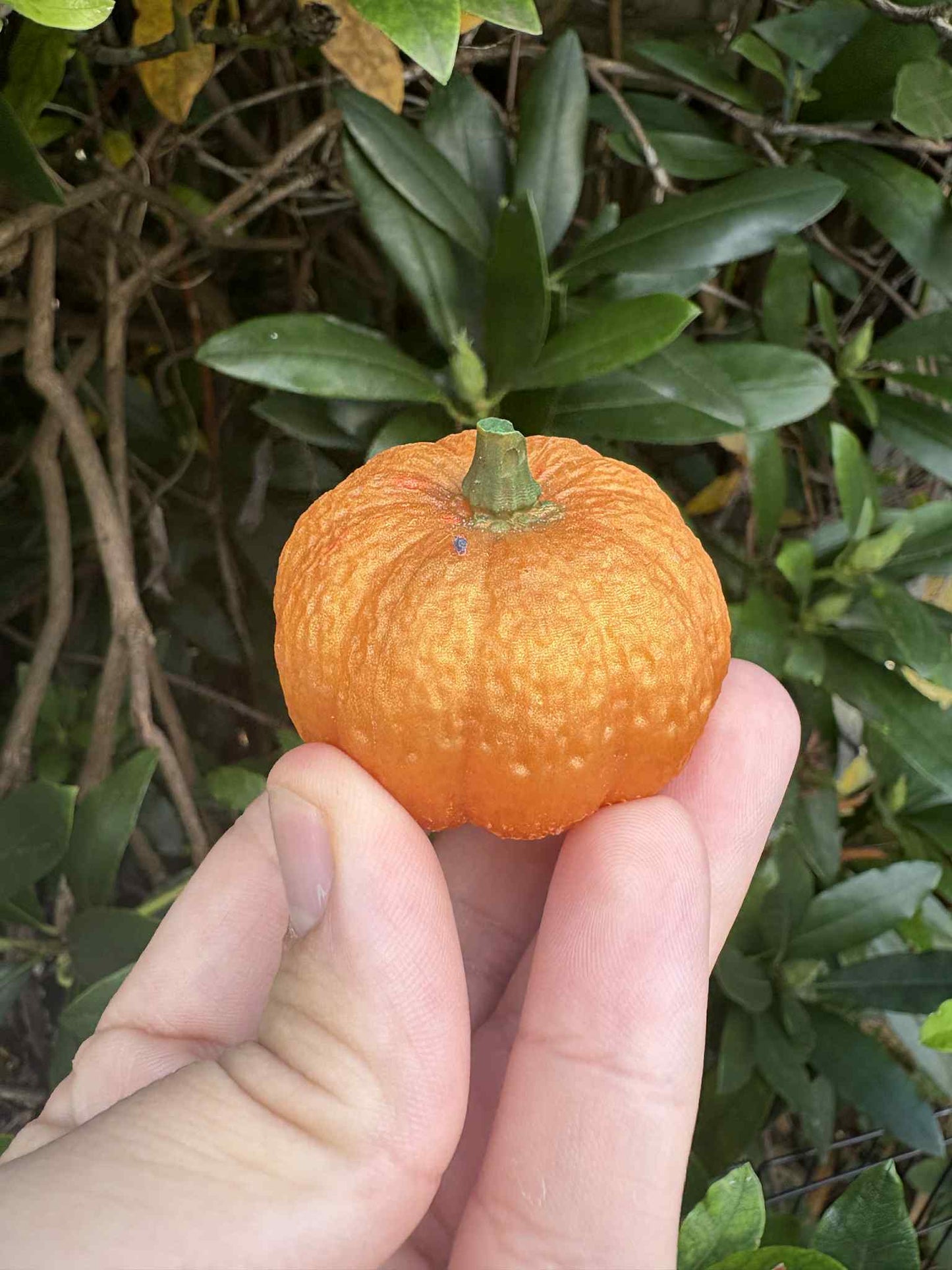 Resin Orange Pumpkin with Green Stalk