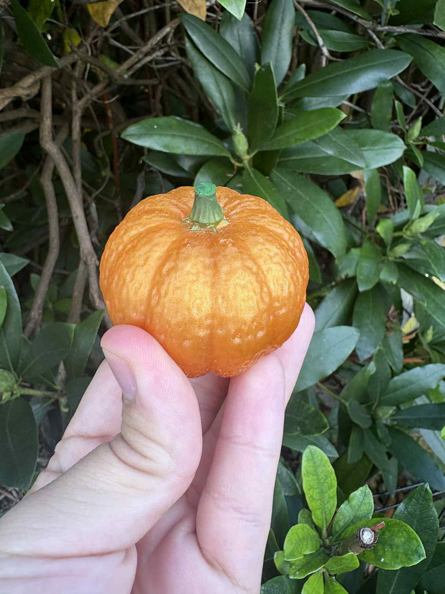 Resin Orange Pumpkin with Green Stalk